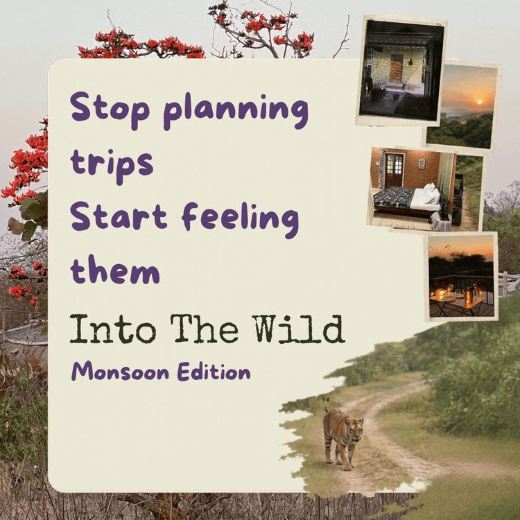 Into the wild - Monsoon Edition